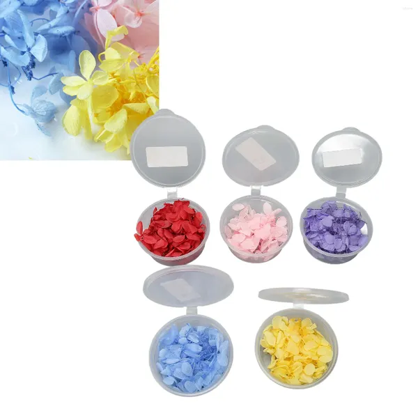 Fleurs décoratives 5pcs Presses séchées 5 couleurs Pétales hydrangeas pour collier pendentif bijoux de fabrication d'accessoires de bricolage