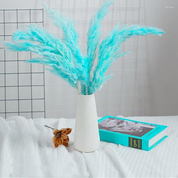 Fleurs décoratives 5 pcs/Lot Plumes bleu ciel séchées Flores naturelles Secas Para Resina Epoxi petite herbe de pampa pour mariage maison Dec