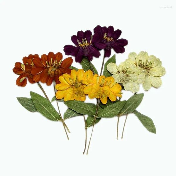 Fleurs décoratives 6.5-11CM/12 pièces, vraies fleurs sèches pressées naturelles, Zinnias, branche de ZINNIA séchée pour résine époxy, fournitures de fabrication de bougies