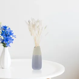 Fleurs décoratives 60 pièces décoration de mariage queue d'herbe séchée foin plantes naturelles pour arrangement floral de photographie (blanc)