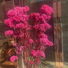 Fleurs décoratives 60g / longueur 40-45 cm Natural Fresh Ramillete Flores Eternell Millet Fleur artificielle pour la décoration de l'année Femme