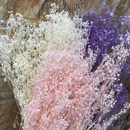 Fleurs décoratives 60g Réel Naturel Frais Pour Toujours Babysbreath Séché Préservé Bébé Souffle DIY Sec Gypsophile Bouquet De Fleurs Pour La Décoration Intérieure