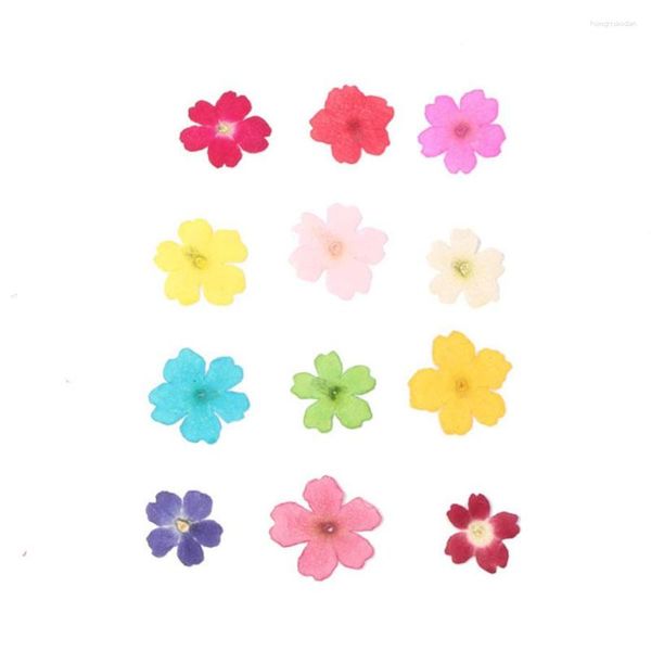 Flores decorativas 60 piezas 1-2 cm Prensado Seco Teñido Verbena Flor Planta Herbario para joyería Po Marco Caja del teléfono Marcador Postal Artesanía DIY