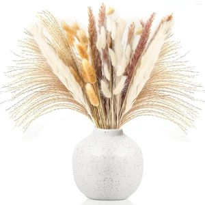 Fleurs décoratives 60 pièces herbe de Pampas séchée blanc brun roseaux queues Vase de fleurs Boho décor à la maison pièce maîtresse de Table décoration bricolage