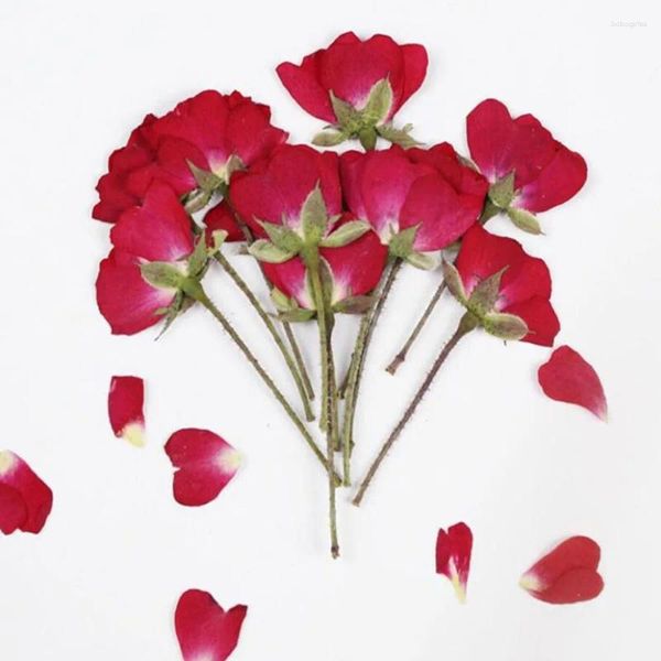 Fleurs décoratives 60pcs côté séché pressé rouge chinois rose fleur rose herbier pour bijoux de bijoux carte d'invitation du boîtier de téléphone postal
