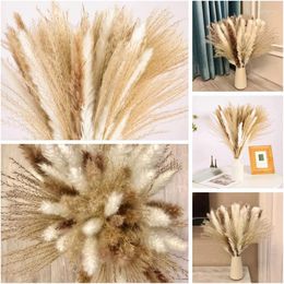 Decoratieve bloemen 60 -st van nature premium kleine rietplanten gedroogd pampas gras boeket boho home decor bruiloft decoratie diy accessoires