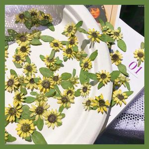 Decoratieve bloemen 60-sten geperste gedroogde mini 1-2 cm zonnebloemplant Herbarium voor sieraden Postcard Uituitnodigingskaart Telefoonhoesje Bookmark DIY