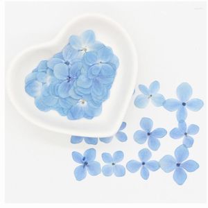 Decoratieve bloemen 60 stcs Echte natuurlijke gedroogde geperste Hydrangeas bloemblaadjes Kleine blauw hortensia droge rozen voor doe -het -zelf Craft Resin Jewely Nail Art