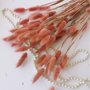 Decoratieve Bloemen 60st Staartgras Natuurlijke Gedroogde Pampas Boeket Voor Bruiloft Decortaion Aardbei Boho Home Decor