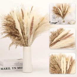 Decoratieve bloemen 65 stks/lot crème Pampas gras pluizige kamer phragmites decoratie natuurlijke staart gedroogd boeket boho home decor