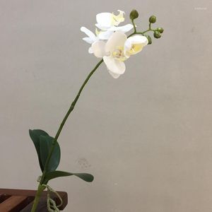 Flores decorativas 6 piezas 54 cm Flor artificial de lujo Venta al por mayor Orquídea de polilla con mesa de té de hojas Mesa de comedor Muebles para el hogar Sala de estar