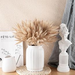 Fleurs décoratives 6pcs Fleur de queue artificielle Pampas Grass Bunch Mariage Décor Home Living Room Accessoires Plantes