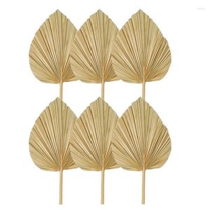 Decoratieve bloemen 6 stks gedroogde palmbladeren natuurlijke fans grote speer voor boho bruiloft decor tropische decoratie