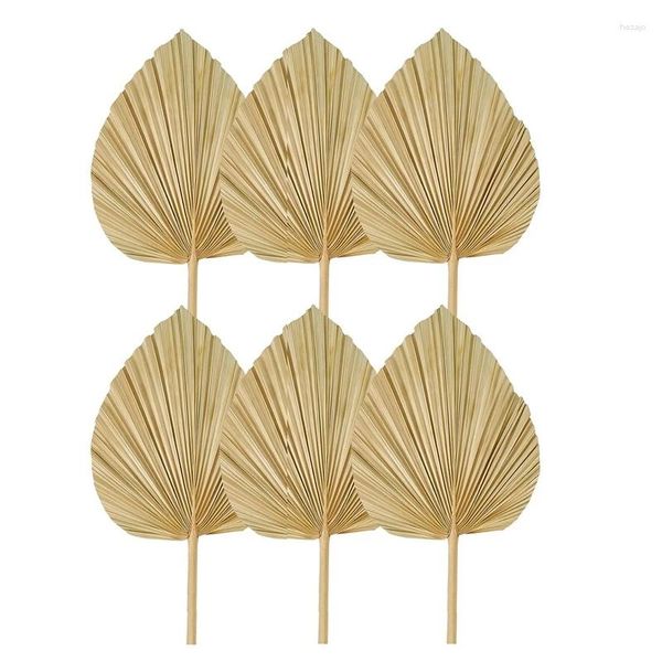 Fleurs décoratives 6pcs Palm séché feuille les ventilateurs naturels grande lance pour décoration de mariage boho décoration tropicale durable