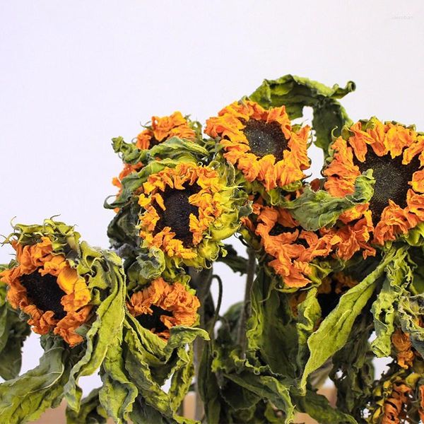 Fleurs décoratives 6 pièces, vrais tournesols séchés naturels, décoration de mariage à domicile