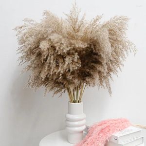 Fleurs décoratives 6pcs Pampas Grass Decoration de mariage Ornements secs pour décorations de maison accessoires de fête de fête