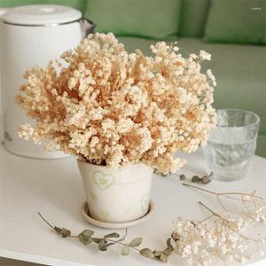 Fleurs décoratives 70pcs mini souffle de bébé séché réel 4000 naturel ivoire blanc pressage bouquet de gypsophile floral pour la fabrication de cartes de mariage