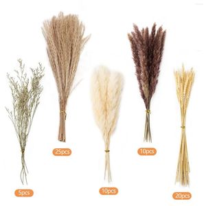 Decoratieve Bloemen 70st Pampas Gras Natuurlijke Gedroogde Kunstmatige Bruiloft Pluizige Tuin Stof Riet Home Party Bloem Bos Staarten DIY Craft