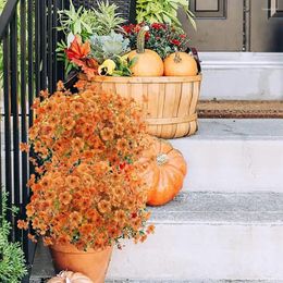 Fleurs décoratives 8 paquets couleurs vives forme exquise ne se fonce pas facilement, pas besoin d'eau