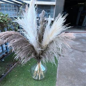 Fleurs décoratives 80-120cm grande herbe de Pampas gris grand long naturel séché moelleux artificiel pour la maison Boho décor décoration de mariage