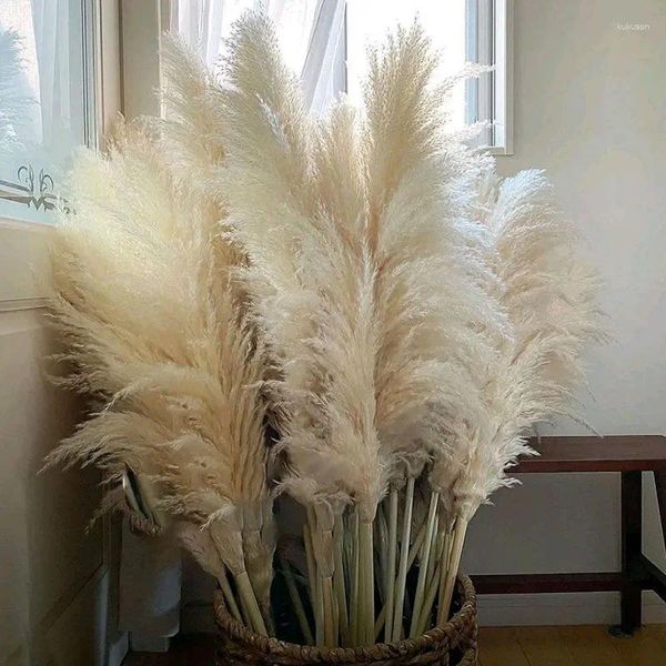 Flores decorativas 80-140cm Pampas Grass grande alto esponjoso seco Boho decoración planta para florero hogar boda arreglo floral