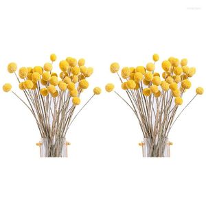 Decoratieve bloemen 80 -sten gedroogde Craspedia Billy Button Balls Flower Bouquet voor arrangementen Wedding Home Decor