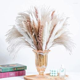 Decoratieve bloemen 80 stks natuurlijke gedroogde pampas gras boeket langdurige mariage bloem boho home decor bruiloft kerstdecoratie vlies