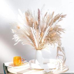 Decoratieve bloemen 80 -st. Natuurlijk volledig pampas gras boeket boho home decor phragmites gedroogd voor bruiloft ramadan decoratie mariage