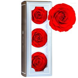 Decoratieve bloemen 8cm Rose Head 3pcs/Box Immortal Valentine Gift Eeuwig Life Bloemmateriaal Kunstbloemen Eternelle Box