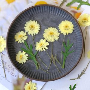 Decoratieve bloemen 9-10 cm/12 STUKS Natuur Wax Gele Chrysant Takken Geperst Bloem DIY Druppellijm Bladwijzer Onderzetters Plant Pe Frame Cadeau