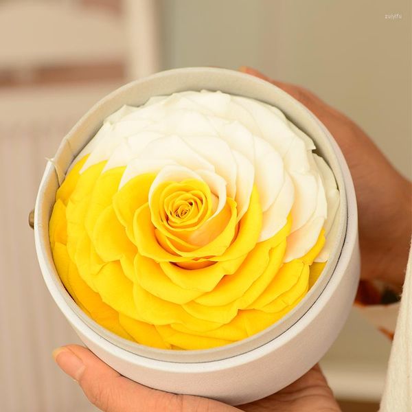 Flores decorativas, 9-10cm, gran cabeza de rosa eterna, rosas de flores preservadas en forma redonda, caja de PU, regalos para madre, juegos de abuela