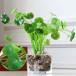 Fleurs décoratives ABRICOT Branches Vert Feuille De Lotus Imitation Fougère En Plastique Herbe Artificielle Feuilles Plante Pour La Décoration De Mariage À La Maison