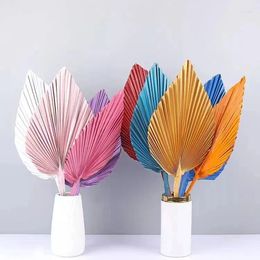 Fleurs décoratives Feuilles de palmier colorées aqumotiques Feuille de tournesol 1pc Fond en forme d'éventail Ensemble d'exposition de mariage séché L'art de l'insertion