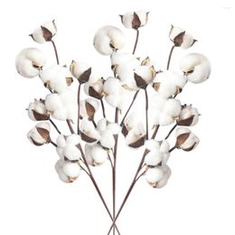 Fleurs décoratives artificielles 3 têtes plantes de fleurs de coton séchées naturellement branche florale décor à la maison Bouquet de mariage faux