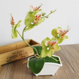 Fleurs décoratives orchidée papillon artificielle, décoration de fleurs en plastique, fausses orchidées réalistes