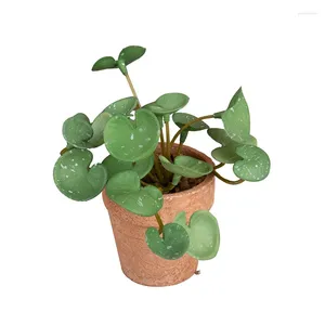 Fleurs décoratives fleur artificielle fausse ivy feuilles de plante verte simulation de plante en cuivre herbe de bureau mini plants de bonsaï en pot pour la maison