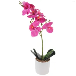 Fleurs décoratives Fleur artificielle Phalaenopsis Décor pour plante de bureau en pot Plantes en pot émulées Chambre à coucher Faux Bonsaï PP Rose