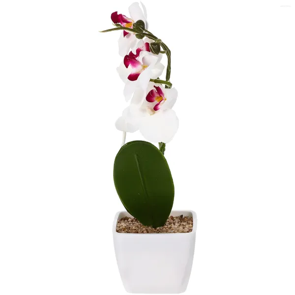 Fleurs décoratives fleur artificielle Phalaenopsis Pot de plante en plastique Arrangement de fausse orchidée Faux bonsaï