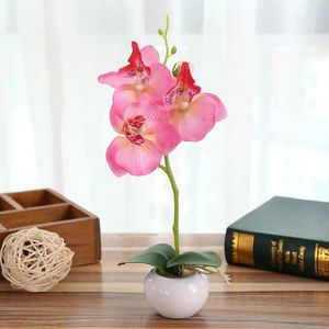 Decoratieve bloemen kunstmatige bloem kleine ronde pot driedebloem phalaenopsis bonsai groene planten simulatie potten