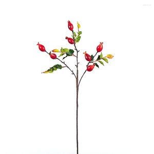 Fleurs décoratives plantes fruitières artificielles en plastique faux 1 pièces 56cm décoration de jardin pour la maison bureau fête Simulation branche d'arbre