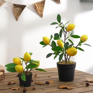 Fleurs décoratives artificiels arbres à fruits simulation grenade bonsaï décoration en pot plante salon ornement faux arbre
