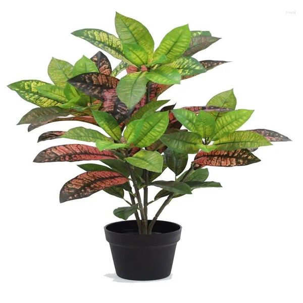 Fleurs décoratives plante de Croton en soie verte artificielle dans un Pot noir Vase en verre plantes pour la décoration intérieure mariage préservé