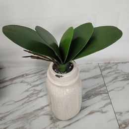 Decoratieve bloemen kunstmatige phalaenopsis orchideeën bladeren echt aanraakplanten groen faux blad voor thuis bruiloftsfeest bonsai decor