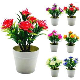 Fleurs décoratives plante artificielle pot écologique sans plastique décorant en plastique kapok fausse fleur en pot ornemental