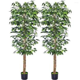 Decoratieve bloemen kunstmatige planten 2 pc's 4 ft ficus bomen met realistische bladeren en natuurlijke stam stevige plastic kwekerijpot