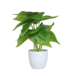 Fiori decorativi Piante artificiali Bonsai Simulazione Fogliame verde in vaso Vegetazione finta Decorazione domestica Ornamenti per il desktop Articoli per feste