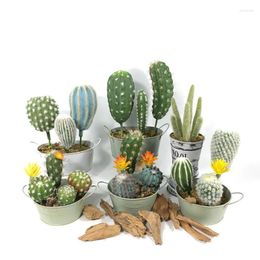 Fleurs décoratives artificielles cactus épineux plantes succulentes en plastique fleur plante maison bureau bureau fête de mariage jardin arrangement décor