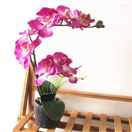 Flores decorativas simulación artificial mariposa orquídea flor de seda bonsai cemento flowerpot para la fiesta del hogar