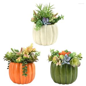 Decoratieve bloemen Kunstmatige vetplanten Pot Nep Plant met potten voor groene decoraties 95