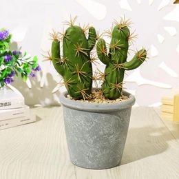 Decoratieve bloemen kunstmatig sappig duurzaam gebruik veel gebruik nep plantensimulatie potten eenvoudige cactus tuindecoratie voor